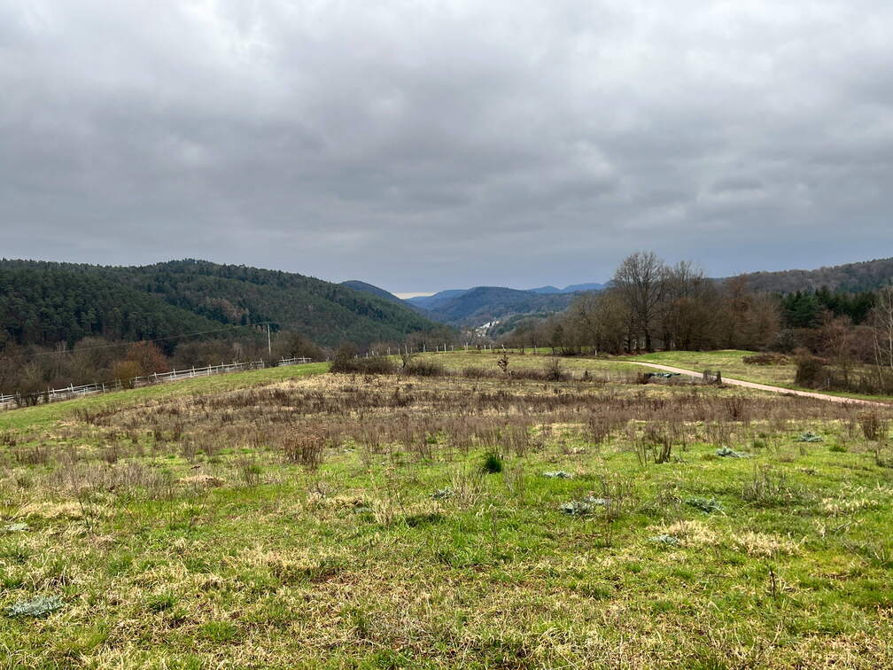 24-03-01 11-00-10 8856